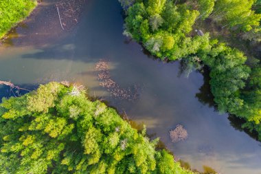 Orman ve yeşil alanlar arasında nehrin havadan perspektifi. Yaz manzarası.