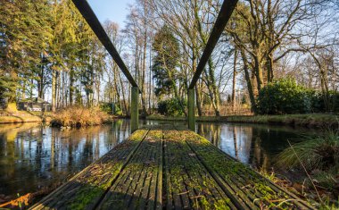 Sonbahar parkında göl üzerinde İskele