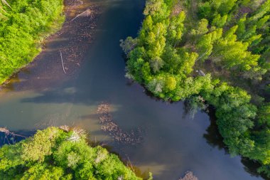 Orman ve yeşil alanlar arasında nehrin havadan perspektifi. Yaz manzarası.