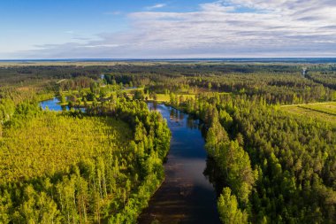 Orman ve yeşil alanlar arasında nehrin havadan perspektifi. Yaz manzarası.