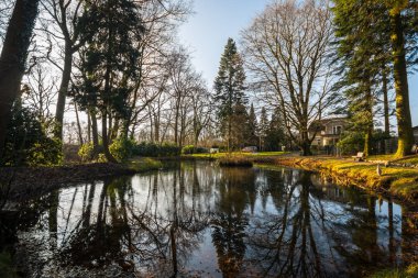 Güzel göl sonbahar Park