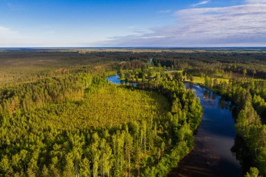 Orman ve yeşil alanlar arasında nehrin havadan perspektifi. Yaz manzarası.