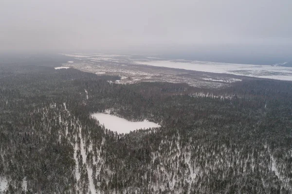 Вид Повітря Зимовий Ліс Вкритий Снігом — стокове фото