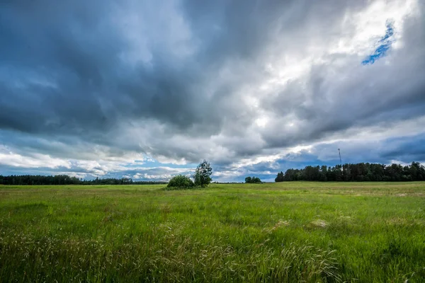 緑の小麦畑 夏の嵐の風景 美しい雲壮大な自然の風景 — ストック写真