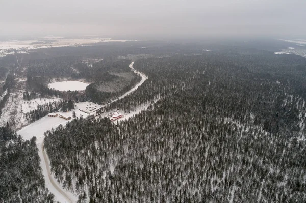 Veduta Aerea Della Foresta Invernale Coperta Neve — Foto Stock