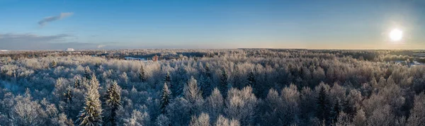 Vista Aérea Belo Pôr Sol Floresta Inverno — Fotografia de Stock