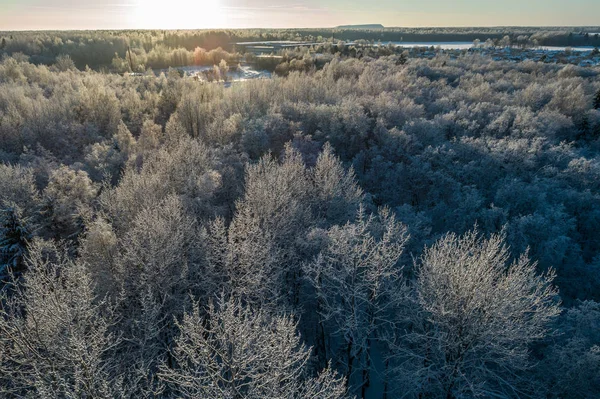 Vista Aérea Belo Pôr Sol Floresta Inverno — Fotografia de Stock