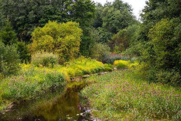 Rivière Forêt Automne Paysage Automne — Photo