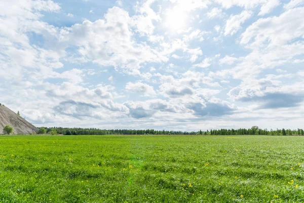 昼間の美しい緑の草原 — ストック写真