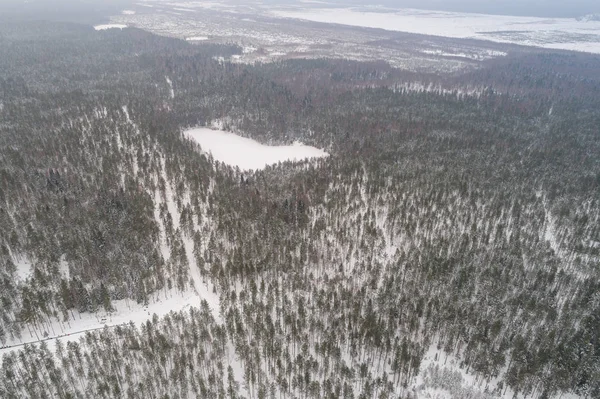 Veduta Aerea Della Foresta Invernale Coperta Neve — Foto Stock