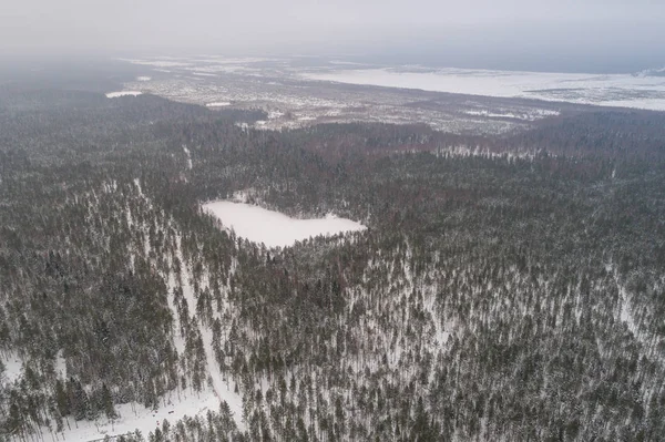 Vista Aérea Del Bosque Invierno Cubierto Nieve —  Fotos de Stock