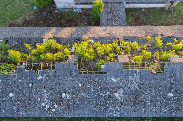 Vista Aérea Quinta Celeiro Abandonados Paisagem Verão Incrível Pôr Sol — Fotografia de Stock