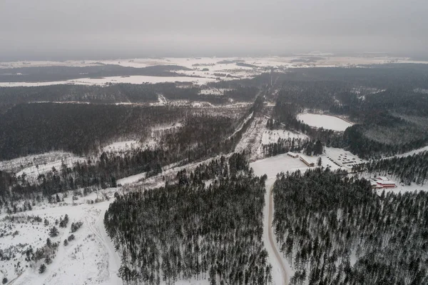 Veduta Aerea Della Foresta Invernale Coperta Neve — Foto Stock