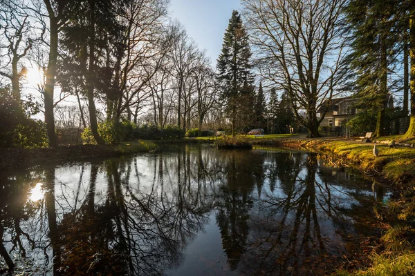 Őszi Park Gyönyörű — Stock Fotó