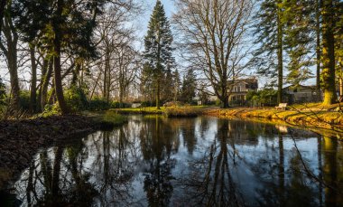 Güzel göl sonbahar Park