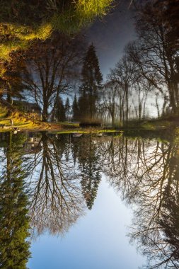 Güzel göl sonbahar Park