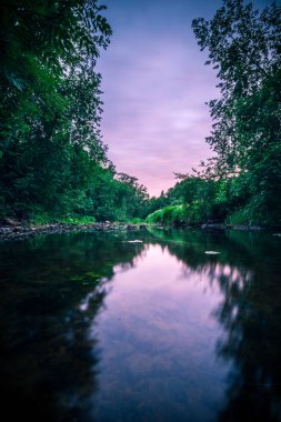 Dağların arasında taşlar akan bir dağ nehri. Uzun pozlama. 