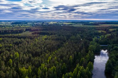 Orman ve yeşil alanlar arasında nehrin havadan perspektifi. Yaz manzarası.