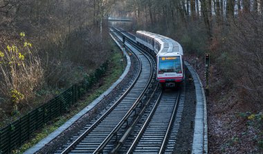 Ormandan geçen tren 