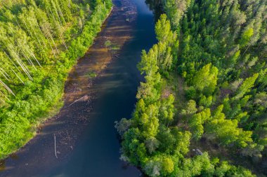 Orman ve yeşil alanlar arasında nehrin havadan perspektifi. Yaz manzarası.