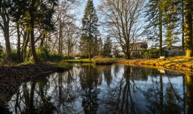 Güzel göl sonbahar Park