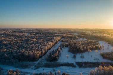 Hava güzel bir gün batımı görünümünde kış orman.