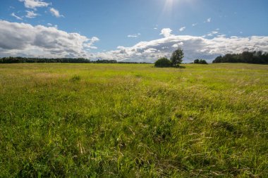 Yeşil alan. Yaz manzarası. Güzel bulutlar. Doğa manzarası.