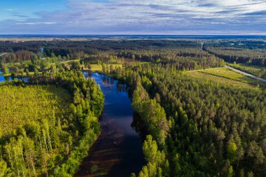 Orman ve yeşil alanlar arasında nehrin havadan perspektifi. Yaz manzarası.