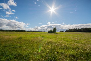 Yeşil alan. Yaz manzarası. Güzel bulutlar. Doğa manzarası.