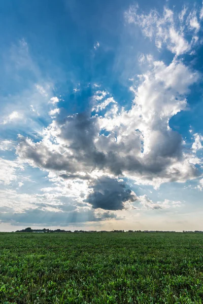 Campo Verde Dia Nublado Com Luz Solar — Fotografia de Stock