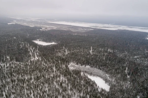 Vista Aérea Del Bosque Invierno Cubierto Nieve —  Fotos de Stock