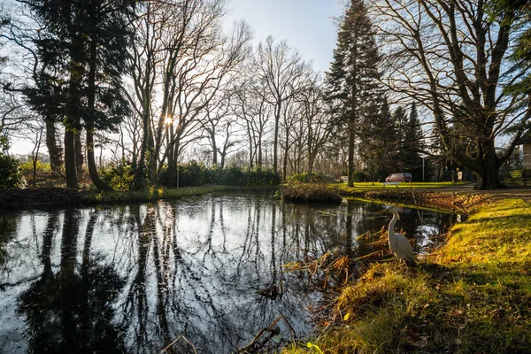 Őszi Park Gyönyörű — Stock Fotó