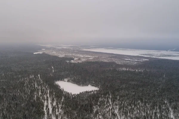 Вид Воздуха Зимний Лес Покрытый Снегом — стоковое фото