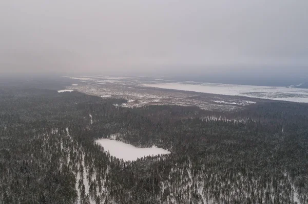 Vista Aérea Del Bosque Invierno Cubierto Nieve —  Fotos de Stock