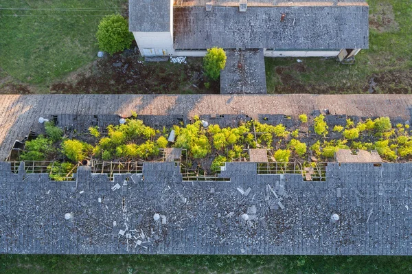 Vue Aérienne Ferme Grange Abandonnée Incroyable Paysage Estival Coucher Soleil — Photo