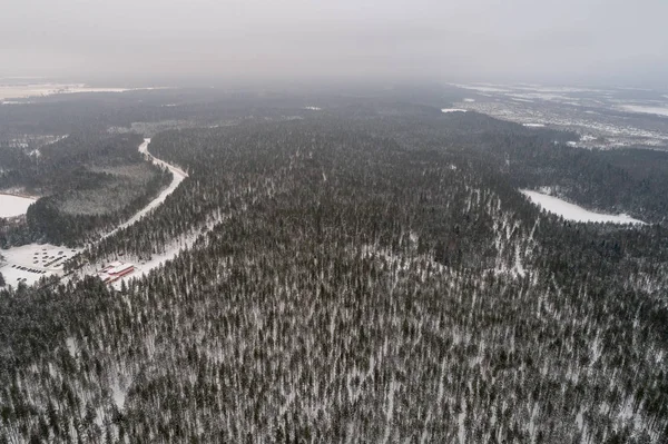 Vista Aérea Del Bosque Invierno Cubierto Nieve —  Fotos de Stock