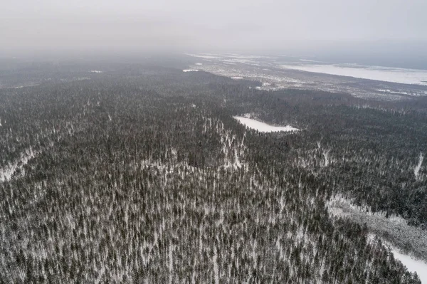 Vista Aérea Del Bosque Invierno Cubierto Nieve —  Fotos de Stock