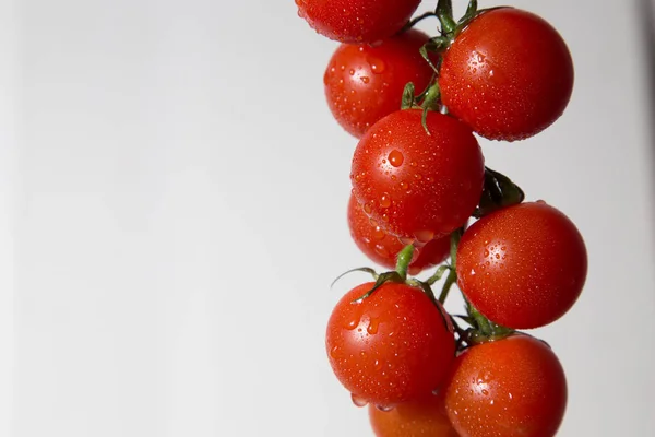 Foto Mostra Ramo Suculento Vermelho Tomate Sobre Fundo Branco — Fotografia de Stock