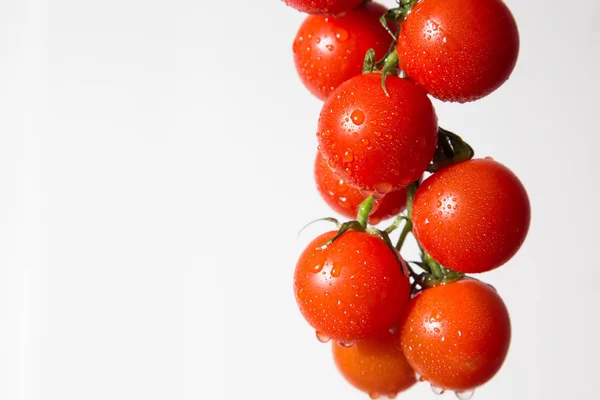 Foto Mostra Ramo Suculento Vermelho Tomate Sobre Fundo Branco — Fotografia de Stock