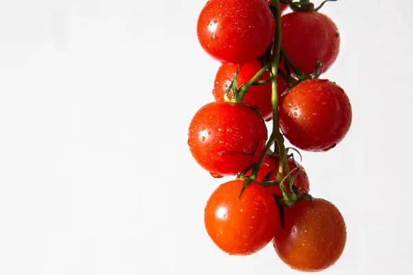 Photo Montre Une Branche Tomate Juteuse Rouge Sur Fond Blanc — Photo