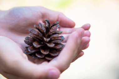 kıyıya demirlemiş balıkçı teknesi. Hangi bir portakal kürek ve bir yaşam şamandıra yatıyor.