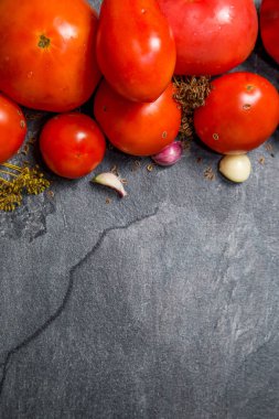 Siyah bir backgroun bir bahçe yatağından kırmızı domates