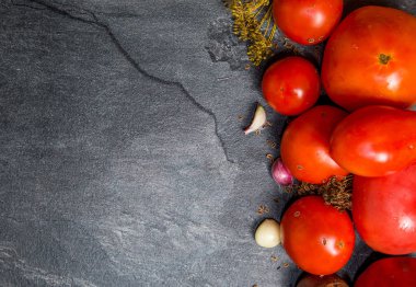 Siyah bir backgroun bir bahçe yatağından kırmızı domates