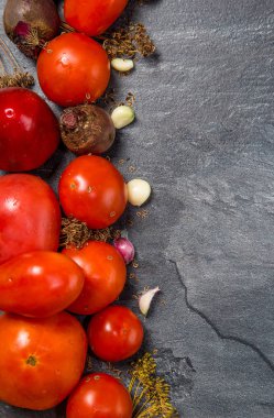 Siyah bir backgroun bir bahçe yatağından kırmızı domates