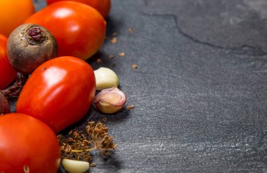 Siyah bir backgroun bir bahçe yatağından kırmızı domates