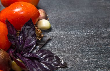 Siyah bir backgroun bir bahçe yatağından kırmızı domates