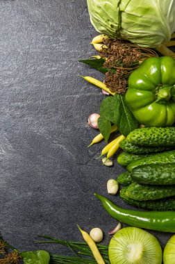 Yeşil yataklardan gelen taze sebzeler koyu bir arka plan üzerinde yer almaktadır. Sağlıklı yiyecekler. Yukarıdan görüntüle