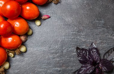 Siyah bir backgroun bir bahçe yatağından kırmızı domates