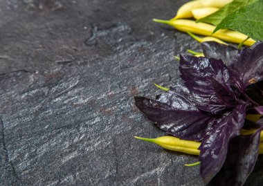 yeşil sebzeler koyu bir arka plan üzerinde yalan