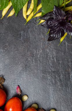 Siyah bir backgroun bir bahçe yatağından kırmızı domates